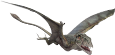 dimorphodon