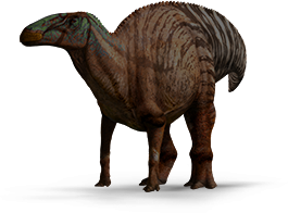 edmontosaurus