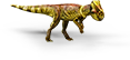 microceratus