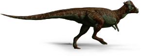 pachycephalosaurus