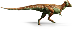 pachycephalosaurus