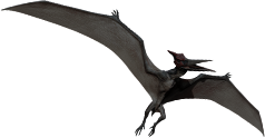 pteranodon