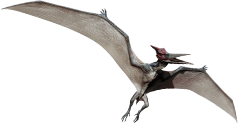 pteranodon