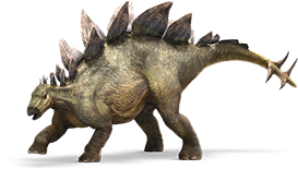 stegosaurus