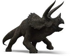 triceratops